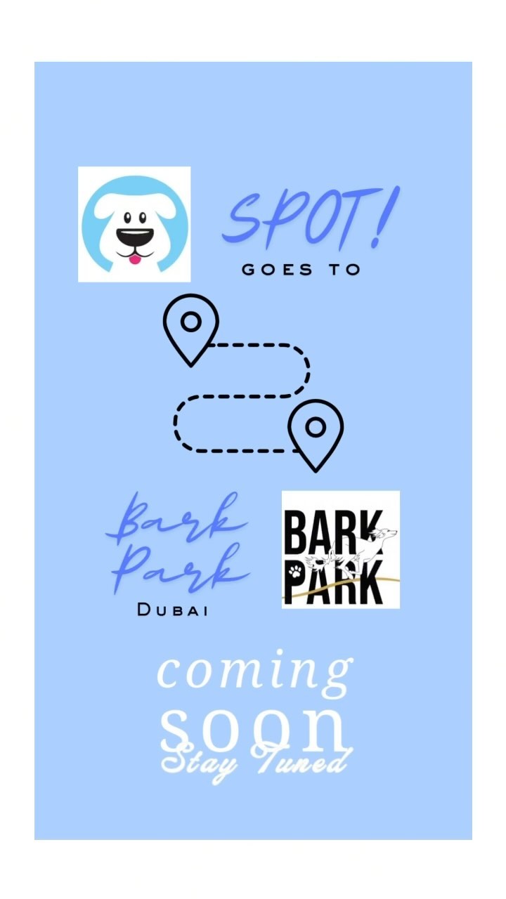 We are headed back to Bark Park! @barkparkdubai
A lot of you are new here…but every week we take the pups on a little bus trip to BarkPark for some fun in the sun, sand and in the fresh water pool!
We’ll resume our trips November 1st week, get in touch, these fill out SO FAST 💨
Ping us on WhatsApp to make your bookings! Same pricing as last year 🩵
#dubaidogs #dogsindubai #dubai #mydubai #dogs #nyc #hellofromspot #boarding #grooming #welovedogs #dogsofdubai #dubaidog #doggieboarding #doggiedaycare #doggieboarding #dogdaycare #dogdays #uaedogs #dxbdogs #everydayawesome #adoptdontshop #pethealth #petnutrition #happypup #dog
