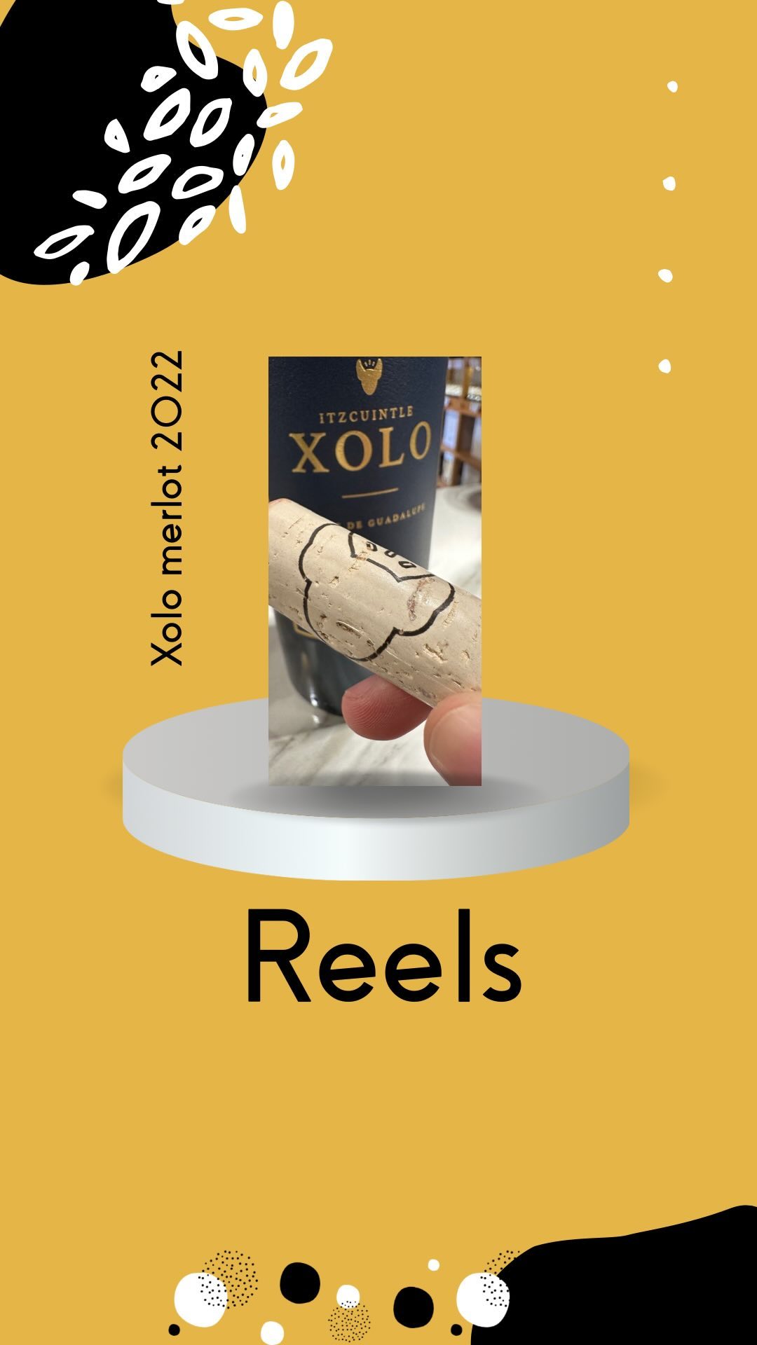 🇲🇽 🍷 Ya llegó la nueva añada de Xolo merlot y tenía que catarlo
#redwine #vinotinto #winestagram #winelover #instawine #winetasting #wine #catavino #wineporn #winetime #winegeek #wineinfluencer #wineoclock #cheers #sommelier #mexico #ensenada #bajacalifornia #merlot #xolo