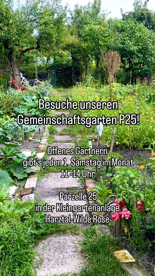 🌱Offener Garten im Gemeinschaftsgarten P25 🌿
Du suchst einen grünen Rückzugsort in der Stadt und möchtest den P25 kennenlernen?
Jeden 1. Samstag im Monat 11-14 Uhr (März - Oktober) gibt es hier die Möglichkeit Gemeinschaftsgartenluft zu schnuppern.
Wer sich für eine intensivere Teilhabe interessiert, kommt hier auch mit den Gemeinschaftsgärtner*innen ins Gespräch. 🥰🍃
Der Garten befindet sich in der Kleingartenanlage Harztal-Wilde Rose in der Parzelle Nr. 25!😍💚
Frohes Gärtnern!🧑🌾
#HarzAcker #HarzAckerP25 #HarztalWildeRose #parzellex #pflanzdeinkiez #urbangardening #urbangardeningberlin #communitygardening #gemeinschaftsgarten #urbanfarming #baumscheiben #workshop #partizipation #kleingartenanlage #qmharzerstrasse #stadtnatur #umweltbildung #gesundeernährung #neukölln #harzerkiez #konsumfrei #gruen #senatsverwaltung #berlin