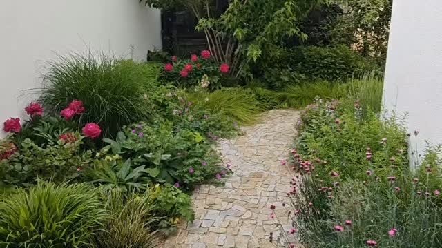 Těší mě, když mi ze zahrad přichází zprávy. A tak se podělím o radost z dvouletých záhonů. :)