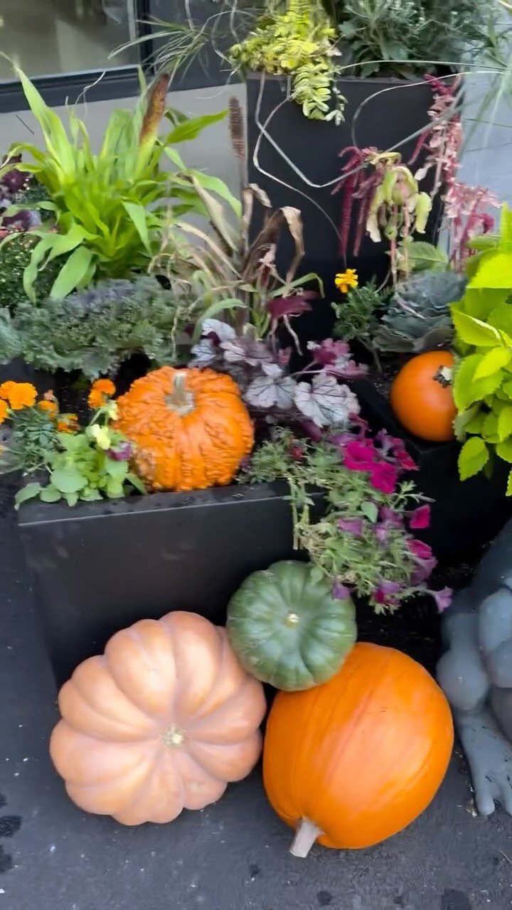 ITS FALL 🍁 🍂 #prettyporch