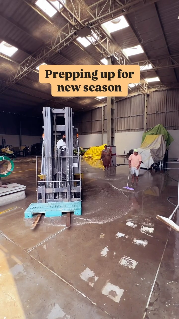 Getting ready for the new season! 🌱🚜 At Biocarve Seeds, we believe a fresh start begins with a clean slate. Watch as we wash and clean our stores, machinery, and even put our forklift to work to get everything spotless. All prepped and ready to bring you the best seeds for the upcoming season! ✨ #NewSeasonPrep #CleanAndReady #SeedJourney #biocarveseeds