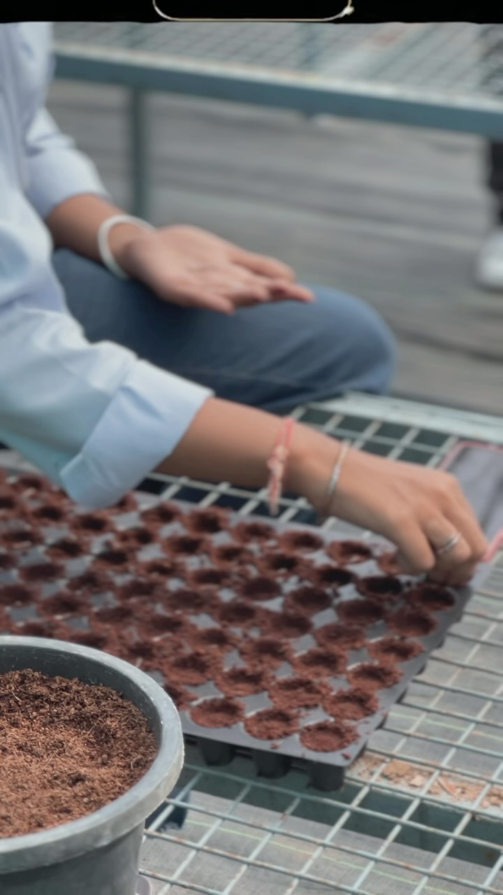 Sharing knowledge with the next generation of agricultural experts! 🌱👩🌾👨🌾 We’re thrilled to have a group of passionate agriculture students interning with us at Biocarve Seeds. From seed sowing to quality control, we’re teaching them all the insights and behind-the-scenes magic that goes into our process. Here’s to nurturing future innovators in agriculture! 🌿 #BiocarveSeeds #FutureOfFarming #AgricultureInternship #learningbydoing