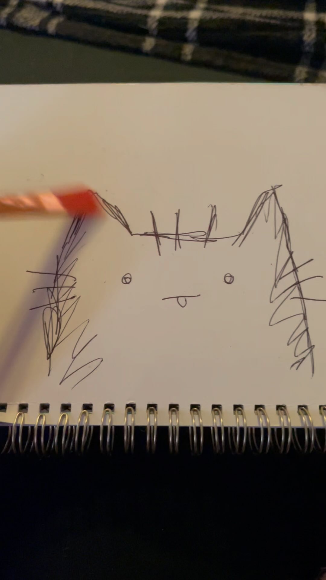 Realistic cat drawing before your very eyes
Taking applications for drawing apprentices
You find my pencil when I lose it
#catspfinstagram #catsofinsta #catscatscats #cats #lykoi #exoticcats #drawing #art #portrait #realisticart #catsofig #sphynx #sphynxcat #lykoicat