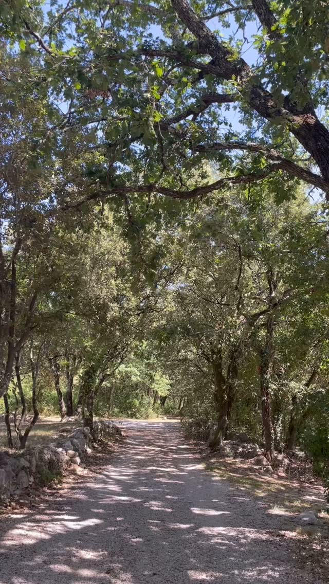 Prendre le temps de reconnecter à l’essentiel
#nature #valeurs #personnalités #entrepreneur #innovation #motivation #mindset #artisan #designer #business #entrepreneur #femmeentrepreneure #nature