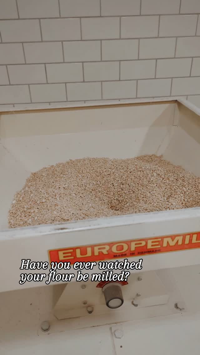 Ever seen a stone mill in action? Hereās a peek at how we transform whole grains into the flour you love. š¾ š
#wholegrain #wholegrainflour #localflour #stonemill