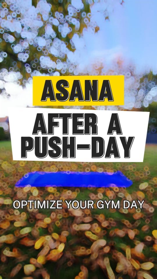 I highly recommend doing at least 10-15 minutes of asanas after every workout!
Here are some asanas you can do after your push-day workout. I'll post more (pull-/leg-day) soon.
Follow for more yoga content ❤️🫡
#yoga #yogainspiration #yogaflow #pushdayworkout #chestday #tricepsday #shouldersday #asanas #combinetowin