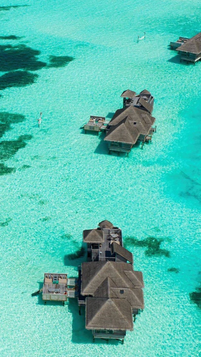 Memories of July visit of @gili.lankanfushi -incredible water villa, crystal clear waters, white sand, green palms, sustainable, bare feet, down to earth resort with stunning over water spa. Ideal for surfers, SUP& snorkeling around.
Thank you for having me