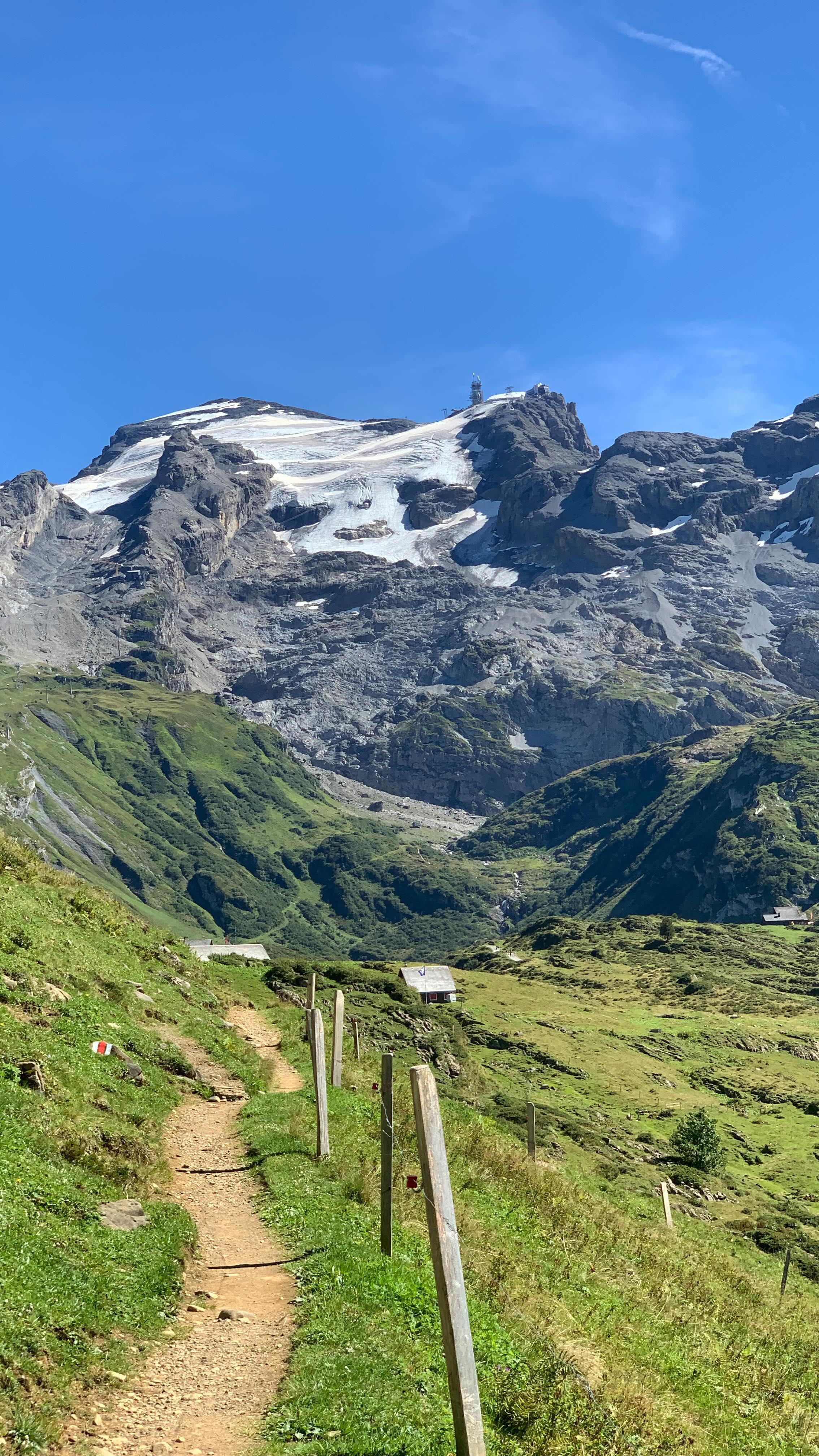 Sensommar och vandring i alperna kan se ut såhär ⛰️ 🍃 💚 Hur ljuvligt?
Upptäck vandringsleder och bergen tillsammans med oss! 🥾🤎
#systraribergen #engelberg #mountaintrails #hikingguide #mountainleader #mountains #hiking #trekking #vandra