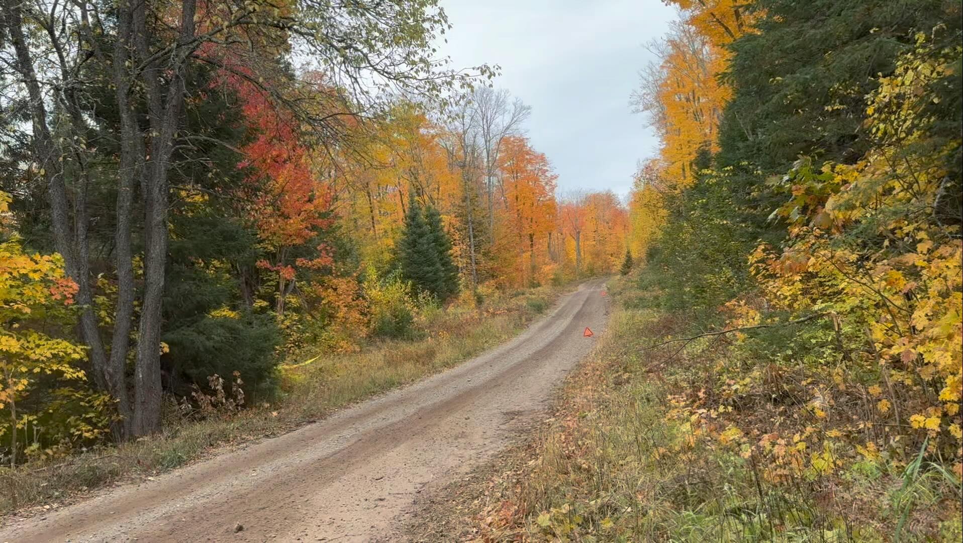 Accidental spectating of your teammate! #wrcoffcial #beyondrally