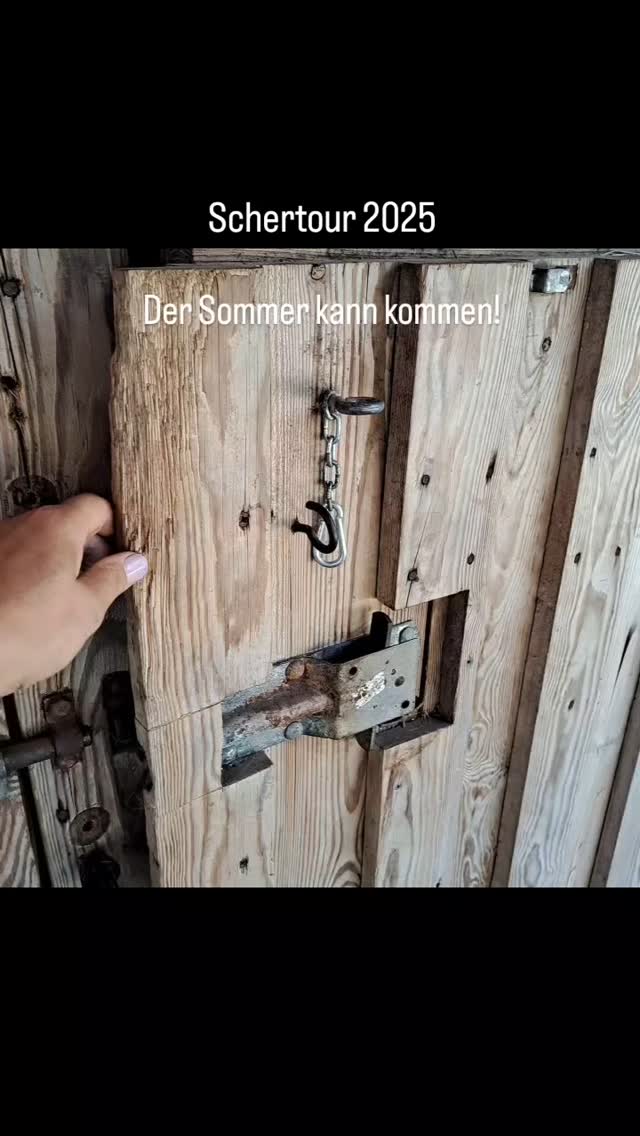 Schertour...wir sind unterwegs und diese hübsche Herde hat nun auch ihre Sommerfrisur. 😉