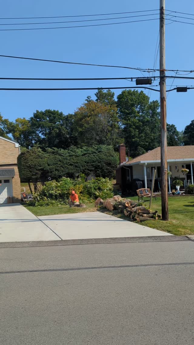 Maple tree removal. The material was left on site per the customers request. We still do our best to leave everything in a neat and orderly fashion. #treeservice #treeremoval #treepruning #arboristsofinstagram #stumpgrinding