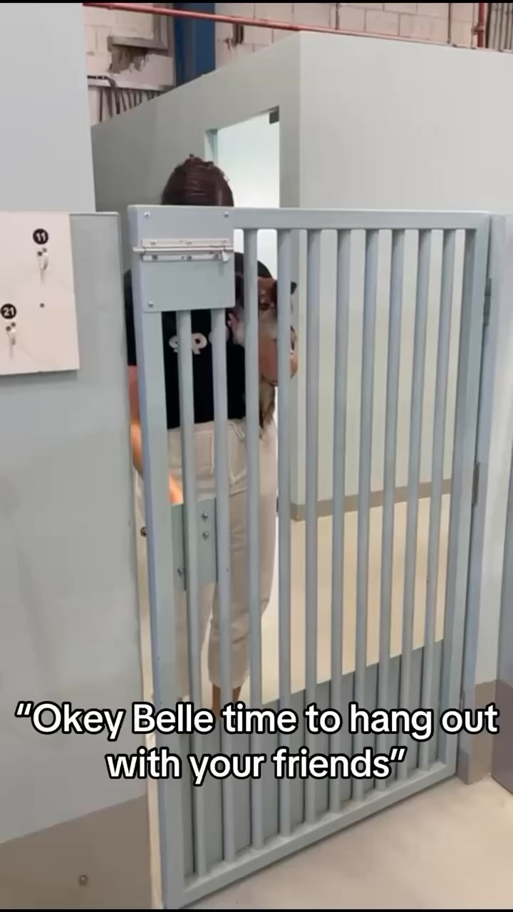 Our pups run our world (and daycare)🩵
.
.
#dubaidogs #dogsindubai #dubai #mydubai #dogs #nyc #hellofromspot #boarding #grooming #welovedogs #dogsofdubai #dubaidog #doggieboarding #doggiedaycare #doggieboarding #dogdaycare #dogdays #uaedogs #dxbdogs #everydayawesome #adoptdontshop #pethealth #petnutrition #happypup #dog