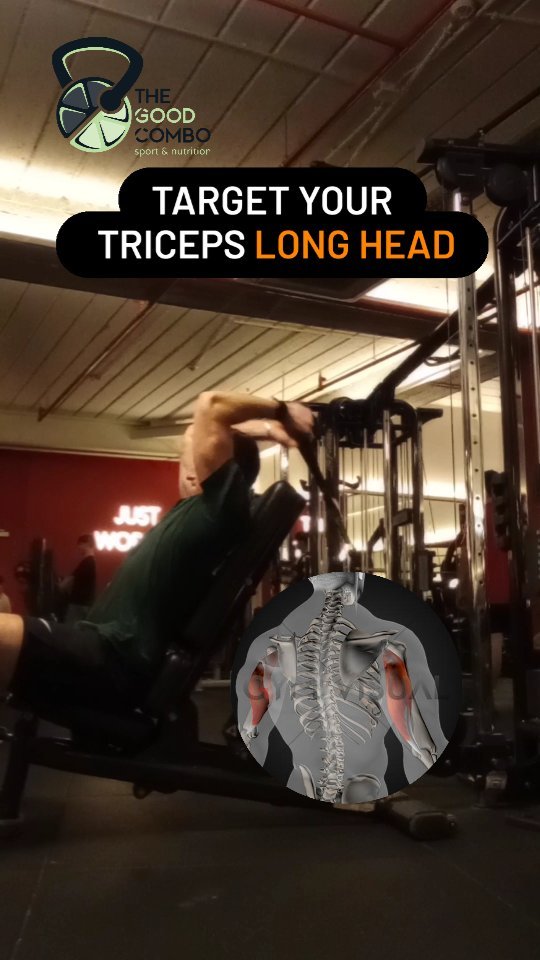 This triceps are (long head) is so often forgotten despite the fact that it is the biggest area of all three heads!
Try this and increase significantly your arm strength and aesthetic!
Suited for all levels and genders!
No worries, you will noted bodybuild yourself in one week!
Add some strength moves to your routine and save yourself from joint issues on the long run
Train with science and give yourself the opportunity to do this on the long run!
Ask to join our workouts indoor and outdoor!
Open groups or personal training!
#belgium #brussels #bootcamp #injuryprevention #parcducinquantenaire #boisdelacambre #explorepage #outdoorworkout #tricepsworkout #tricepslonghead #ereps #certifiedtrainer #certifiednutritionist #bodybuilding #hiit #hyroxtraining