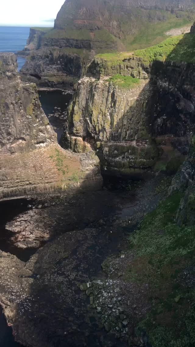 I like watching aerial nature videos. You know, like directly above looking down, an eagle’s view as she soars. Bonus if there’s lots of animals, like a group of penguins swimming in and out of green-hued ice ponds. Otters floating on waves. Elephants marching across the Savannah. A mama tiger and her babies, just living, just being. There’s something so intimate about that bird’s eye view. The animals seem to have no cognition of being filmed and I am able to observe, to see without affecting. Without leaving any trace.
I think there’s a kind of pervasive obsession with leaving one’s mark. Ever since cave paintings and pyramids, humans have an innate need to make a change, stake a claim on their temporary power, or maybe just leave proof that they lived. We are transient here on earth, but maybe our monuments will endure … at least enough to prove we existed. Because if others don’t know, what’s the point of existing at all, hmm?
Expert for latest blog post. Find the whole thing in my bio links.