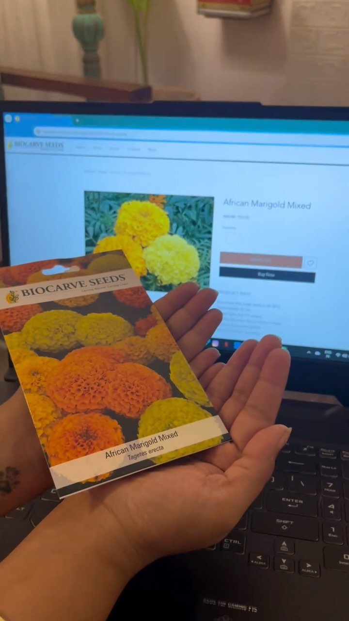 If you are wondering which floral seeds to sow this season, here’s the answer!
Pick, Order and we deliver it to your doorstep.
Simple.
#biocarveseeds #septemberseeds #qualityseeds #seeds #gardening #seedsowing #gardeninglove #gardeninglife #floralseeds