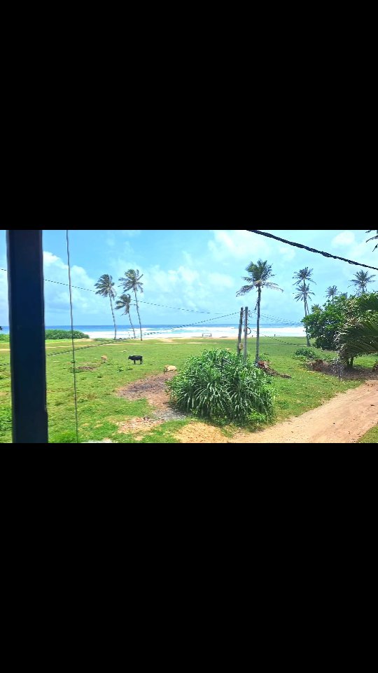 "Find your slice of paradise, just steps from the sea"🌴
Here's a short of our lovely Superior Room.
#lionsrest #gurubebila #surfsouthsrilanka #weligama #midigama #srilankatravel #tophotels #instaplaces