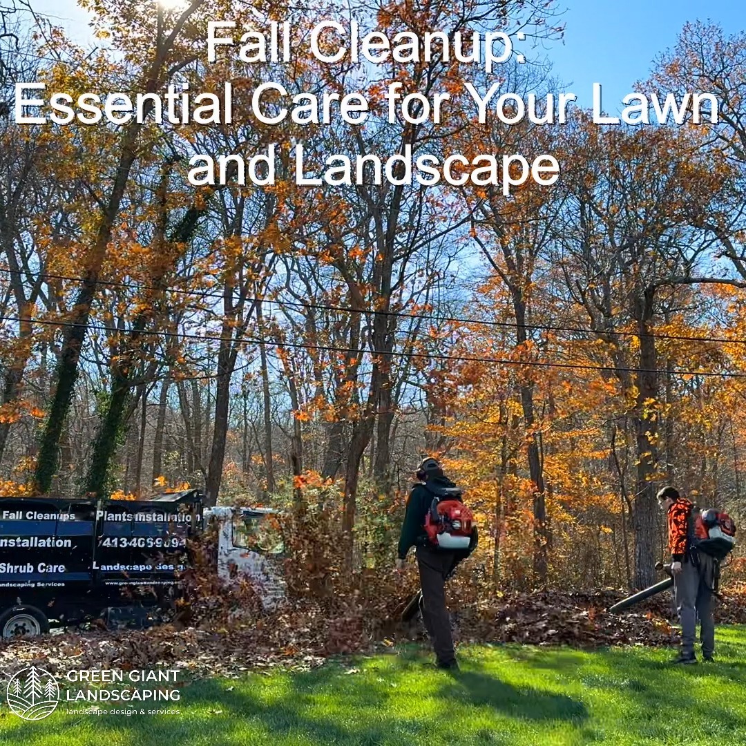 Fall Cleanup: Essential Care for Your Lawn and Landscape.
Landscaping Southeastern, MA.
Call now for your free quote!
Plants installation
Tree and shrub care
Seasonal cleanups
Bobcat services
Old overgrown shrubs removal
Mulch installation
Garden maintenance
Professional Landscape Design.
https://www.greengiantlandscaping.com/
Phone:
+1 413-406-9094
#landscaping #landscapedesign #gardening #gardendesign #landscaper #landscapearchitecture #treeandshrubtrimming #mulch #Massachusetts #southshore #newton #boston #hingham #marshfield #scituate #NewtonMA #scituatema #milton #canton #wellesleyma #SpringCleaning #shrubtrimming #shrubcare #plantingseason #plantingtrees #plantingdesign #gardentransformation