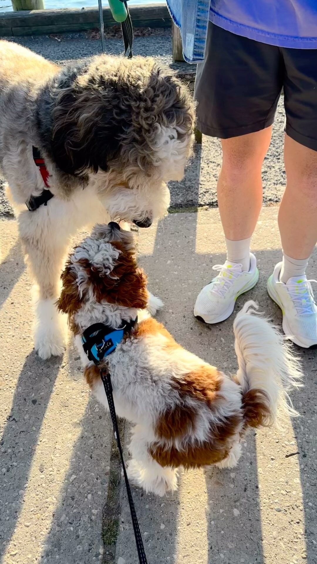 Evening trip to Northport