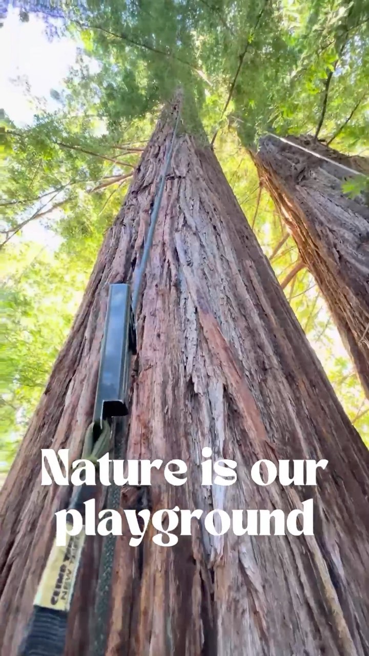 Nature is our playground. Getting outdoors is essential for our health and happiness, and trees are a big part of that. Spend a little time with a tree today and you won’t be sorry!🌲
#treecare #naturesplayground #getoutside #adventureawaits #nextgenarborist
