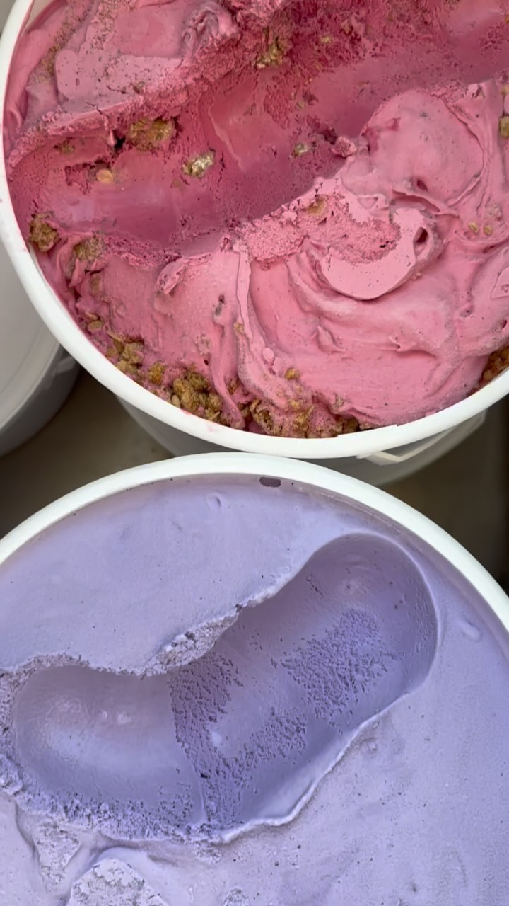 We collaborated with Cal Poly Pomona and the Lyle Center to bring Blackberry Crumble ice cream to the CPP Pumpkin Fest Preview Night this past Friday and would you just look at that color 😍 Made with an oat crumble and blackberries picked locally at the Lyle Center, that stunningly beautiful pink doesn’t get any more natural than that 💗
•••
#coneyislandcreamery #calpolypomona #cpp #blackberries #icecream #fall #pumpkinfest #cpppumpkinfestival