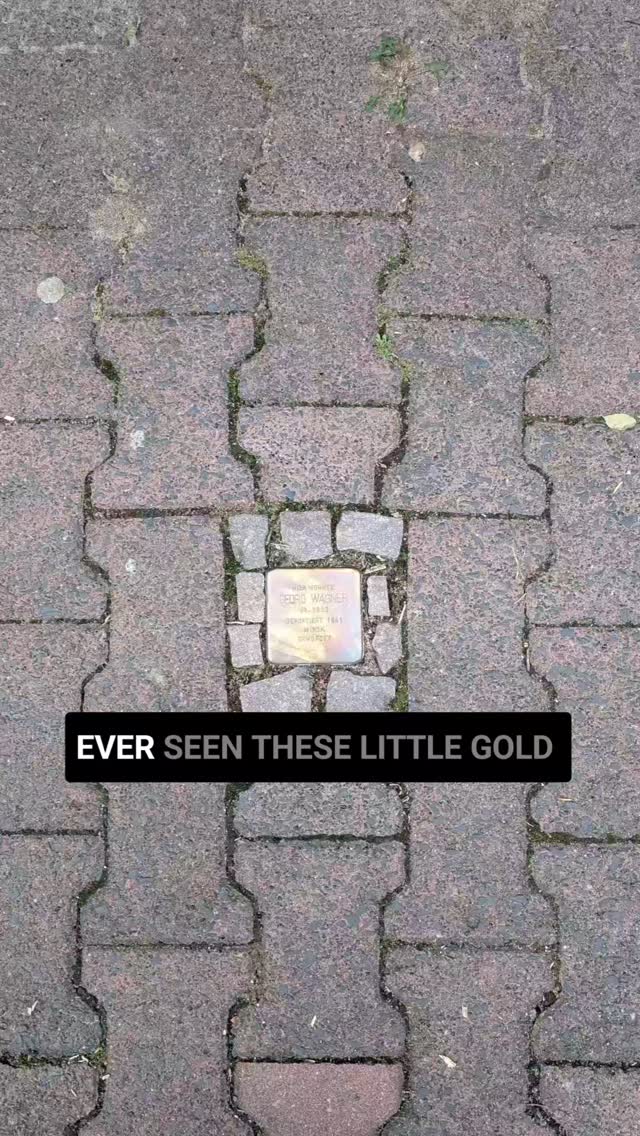 Stumbling Stones -The Holocaust Bricks along Sidewalks #frankfurt #stumblingstones #stolperstein #holocaust #memorials