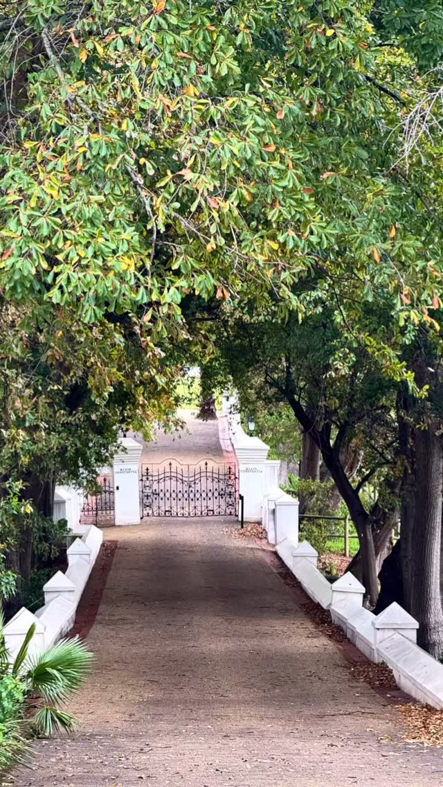 Rainy public holidays in the beautiful Constantia.