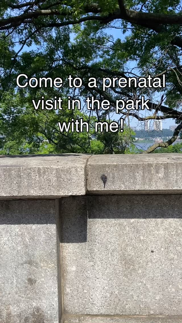 I love any opportunity to get mommas outside for some fresh air and sun!
This prenatal visit we discussed:
• previous birth story
• mommas goals for birth this time around
• support system
• hobbies/interests
When was the last time you really spent time outside? Let’s go for a walk!
#doula #prenatalvisit #riversidepark