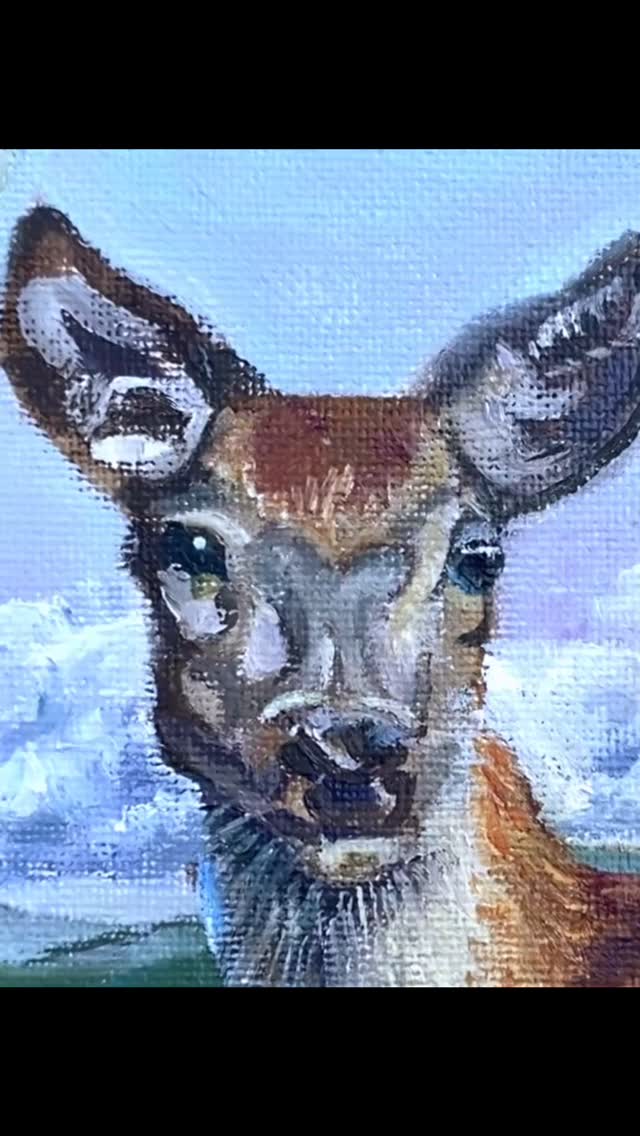 ‘Hazeldean’
Oil on canvas
Just sold! Very happy to find a home for this piece with two very lovely souls on the Sunny Coast.
#lyndasampsonart #deer #oiloncanvas #landscape #australianartist #commissionedwork #mypaintings #outsiderart #archive #somerset #hazeldean