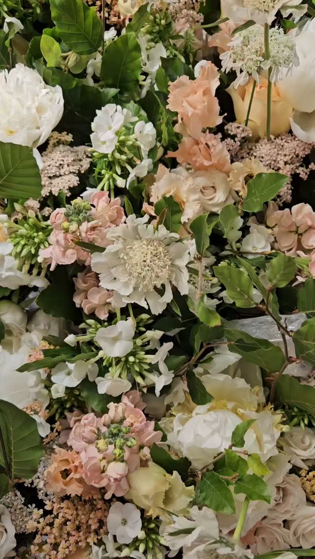 Not sure where last week went.. a bit of a blur..! Martha spent much of the week glued to the cold kitchen floor, where as Angus did not leave my side.. he really is a bit of a boo boo!!
Beautiful flowers for the most wonderfully relaxed and happy day @stgileshouseweddings . The sun shone and gosh it was a perfect day.
So roll on another week the same...
#dorsetlife #spaniels #floristdog #dorsetflowers #dorsetweddingvendor #dorsetweddingflowers #workingcockerspanielsofinstagram #stgileshouse