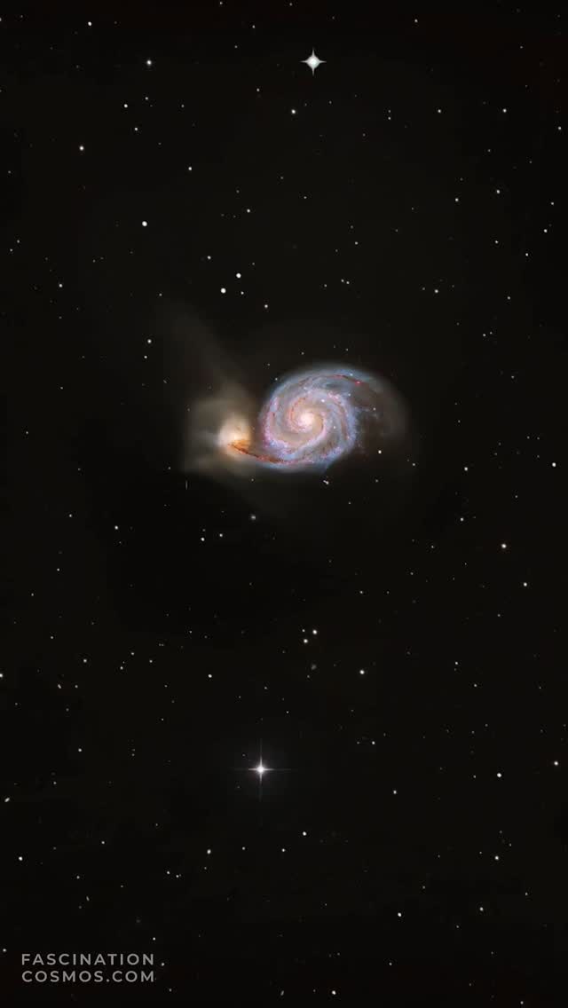Whirlpool-Galaxie M51
Die Whirlpool-Galaxie oder M51, die Nummer des Messier Katalogeintrag: man stellt sich einen kosmischen Strudel vor, und genau das ist es auch, was wir da sehen: wir blicken auf eine Galaxie in Aktion. M51 ist nicht allein, sie hat einen Begleiter, eine kleinere Zwerggalaxie namens NGC 5195 und diese beiden ziehen aneinander an. Eine Wechselwirkung wie ein galaktischer Ringkampf, die Konsequenzen hat: überall in diesen prächtigen Spiralarmen, da kollabiert Gas und Staub unter seiner eigenen Schwerkraft, und es entstehen neue Sterne, massereich und hell. Wir sehen das Licht dieser jungen Sterne, wir sehen die leuchtenden Gaswolken, aus denen sie entstehen. Und genau genommen sehen wir gerade Licht, das sich aber etwa bereits vor 25 Millionen Jahre auf den Weg gemacht hat!
Die Originalaufnahme habe ich für die Sichtbarkeit der roten Nebel bzw. Gaswolken mit nur 4 H-alpha Aufnahmen mit je 450 Sekunden gemacht, sowie mit 38 LRGB Aufnahmen mit je 120 Sekunden, in Summe also weniger als 2 Stunden Aufnahmezeit in meiner Gartensternwarte mit einem Lacerta 12", 1200mm mit f/2.8 und mit QHY268M und mit 5 Filtern belichtet. Mit Astro Pixel Prozessor, Pixinsight, Adobe PhotoShop verarbeitet und das Bild als Video animiert.
Bitte sehr gerne meine Post weiterleiten ! Jedwede andere Art von Kopien oder Nutzung ist nur mit ausdrücklicher Erlaubnis des Copyright Inhabers erlaubt. Bestellung von Kopien und Bildern gerne unter https://photo-portal.shop/profiles/fascinationcosmos.com/#/ oder einfach per Nachricht an mich.
#fascinationcosmos #cosmos #faszinationkosmos #kosmos #franzrettenbacher #astrophotography #astrofotografie #astrophoto #astrofoto #deepsky #astronomie #astronomy #astro #teleskop #amateurastrophotography #qhy268m #HEM27EC #iOptron #deepspace #M51 #Whirlpoolgalaxie