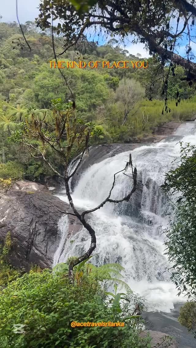 Some places stay with you. We just help you find them. #travelsrilanka #exploresrilanka #acetravelsrilanka #acediaries