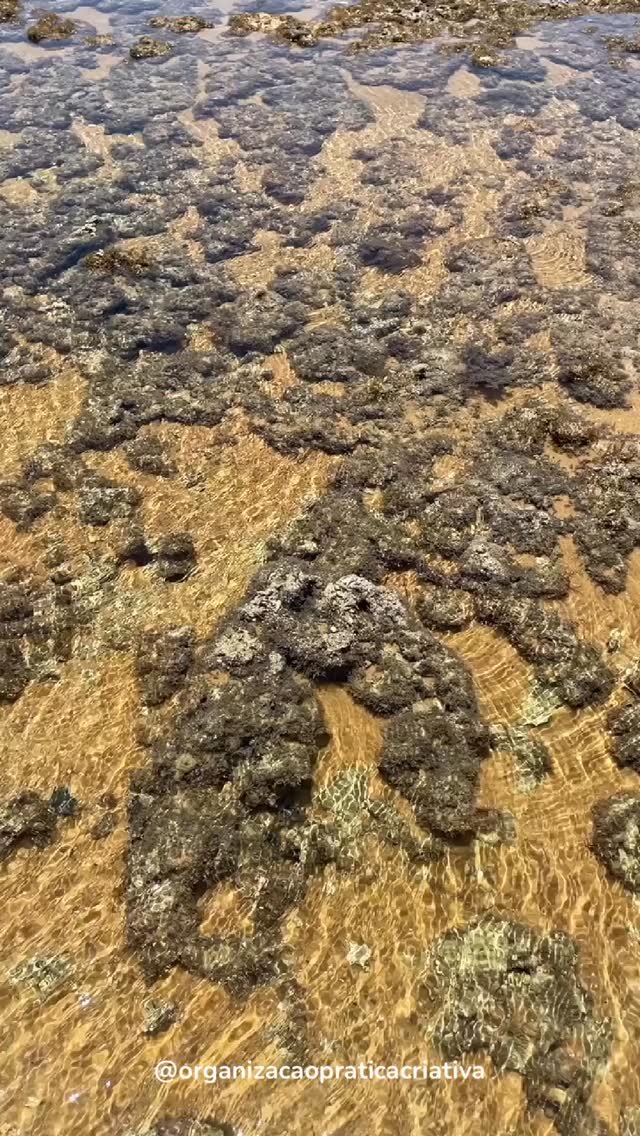 A organização mental é essencial para todos. Uma mente organizada pode levar a uma melhor tomada de decisões, reduzir o estresse e aumentar a produtividade, permitindo o gerenciamento eficaz de pensamentos e emoções, a busca por um propósito e a clareza na vida.
www.organizacaopraticacriativa.com.br
#estilodevida #bemestar #produtividade #tempo #planejamento #organizacaopraticacriativa #personalorganizersp #organizaçãosp #organização #mente