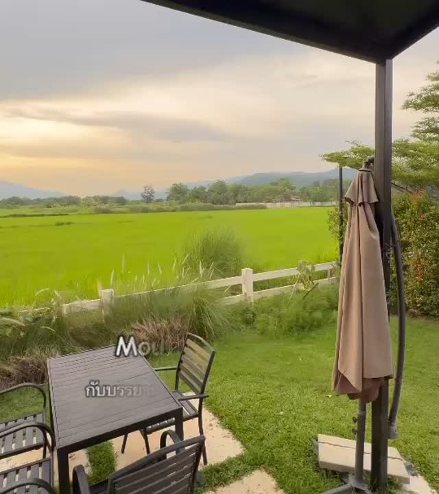 ที่พักในจังหวัดนครนายก ฟิวธรรมชาติสีเขียว สบายตา บรรยากาศสุดฟินพร้อมเสิร์ฟ เตียงนอนนุ่มๆ กับความเป็นส่วนตัว เงียบสงบ สบายๆ มีอ่างอาบน้ำ กับชาบูคู่ใจ
#ดีงามพระรามแปด 😍😍
🍃 อยากลุ้นฟิวบรรยากาศแบบนี้ ต้องรีบมา เดือนนี้กำลังสวยรีบมานะจ้ะ 😁
⛰️ ไม่ได้เข้าพักแวะมาเที่ยวได้ค่ะ ⛰️
🙏 หากมีโอกาสเรียนเชิญนะคะ 😍
คาเฟ่น้ำหอม ร้านอาหาร และที่พัก 👇
Open daily : 08.00-20:00 น.
💛 สนใจสำรองห้องพักสอบถามเพิ่มเติมได้ที่ 👇👇
🆔 Line : @lervadeflora
📩 Inbox : https://m.facebook.com/messages/t/lervadeflora
🏠 เช็คราคา สำรองที่พัก: www.lervadeflora.com
📱 โทร : 061-836-8888
📍GPS : https://goo.gl/maps/fmUZuRNjXMHEtsoY9
#นครนายก #ที่พักนครนายก #คาเฟ่นครนายก #ร้านกาแฟนครนายก #รีสอร์ตนครนายก #เลอวาคาเฟ่ #คาเฟ่นครนายก #cafe #ร้านอาหาร #คาเฟ่นครนายก #cafe #ร้านอาหาร #lerva #lervadefloraresortandspa #เลอวาเดอฟลอร่า