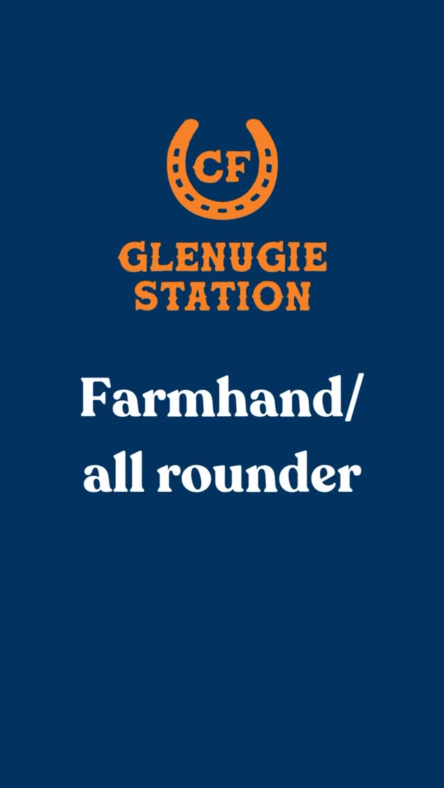 👩🌾 Interested? Head to our website form at cromwellfarms.com/contact or email greg@cromwellfarms.com
📍 @glenugie_station - 1.5hrs from Byron Bay or 15mins from Grafton
🌀 Flexible work arrangement - days/hours negotiable
🪴 Accommodation can be provided
🐴 Feeding and caring for horses, pigs, chooks
🌿 Weeding, brush cutting, cleaning and ad hoc farm tasks
#cromwellfarms #farmjobsaustralia #Glenugie #myclarencevalley #graftonnsw #grafton #midnorthcoast #farmlife #NSWfarms #farmhand #horsecare #pigfarm