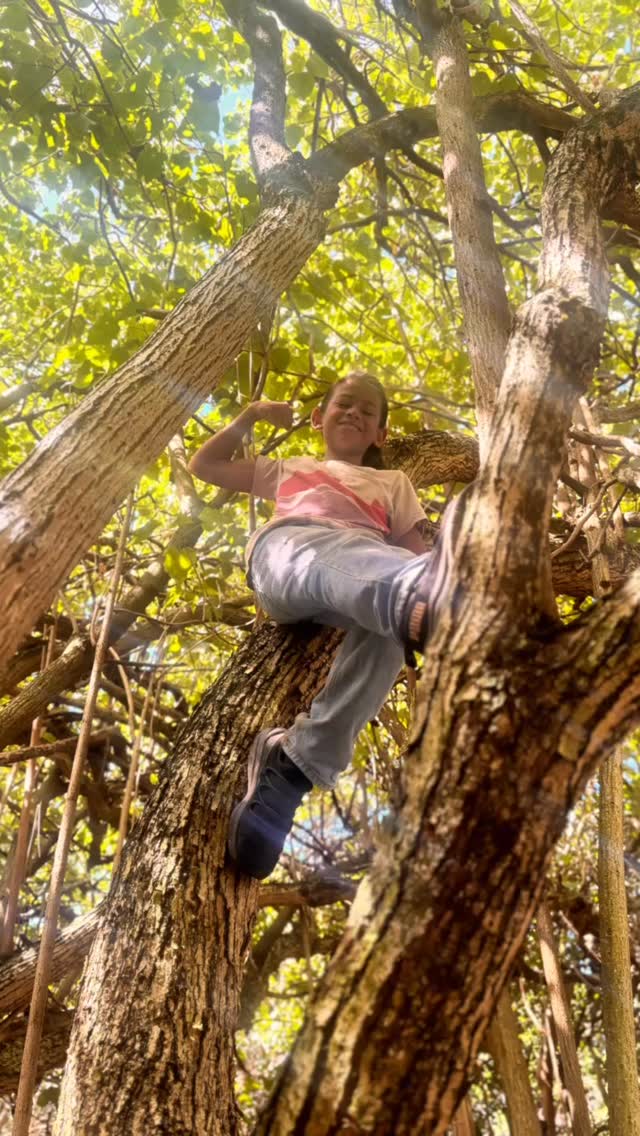 🌈 Calling All Maui Changemakers! 🌿
“As our keiki climb the treetops with stars in their eyes,
they reach for the heavens — with rainbows of diversity in their hearts.” 🌟🌳
At Pono Outdoor Program, we believe every experience shapes a child’s path — and we’re inviting our Maui community to help light the way. ✨
We’re now planning our Fall Session (starting August) and looking for:
🌱 Farmers
🏛️ Cultural spaces & museums
🌊 Ocean and ʻāina-based orgs
💫 Community members making a difference
Our Friday Field Trip Days are about connection, impact, and discovery. We bring up to 35 keiki from 9am–1pm, and from 9:30–11:30, we roll up our sleeves and help.
Past experiences:
🌿 Weeding, planting, and harvesting
✈️experienced the tarmac at Kahului airport and learning all about first responders.
🧺 Sorting donations and running cashier stations
🎤 Listening to passion-filled stories from kūpuna and community leaders
✨ Hands-on learning and giving back to the land and people of Maui
We believe diversity is strength, and everything is an experience — the more unique, the better. Let’s give these keiki moments that stay with them for a lifetime.
📧 ponooutdoorprogram@gmail.com — let’s connect if your organization is a good fit.
Together, let’s raise rooted, respectful, pono keiki who reach for the stars — and remember where they came from.
#PonoOutdoorProgram #KeikiOkaAina #MauiVolunteers #FarmSchoolMaui #FieldTripFridays #LivePono #MauiFarmers #DiversityIsStrength #RainbowsAndRoots #MalamaAina #RaisingKeikiRight #MauiEducation #HandsOnLearning