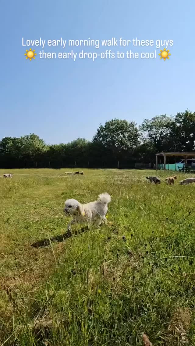 Thought I would make yesterdays story in to a reel. Look at all those happy faces In the sunshine.