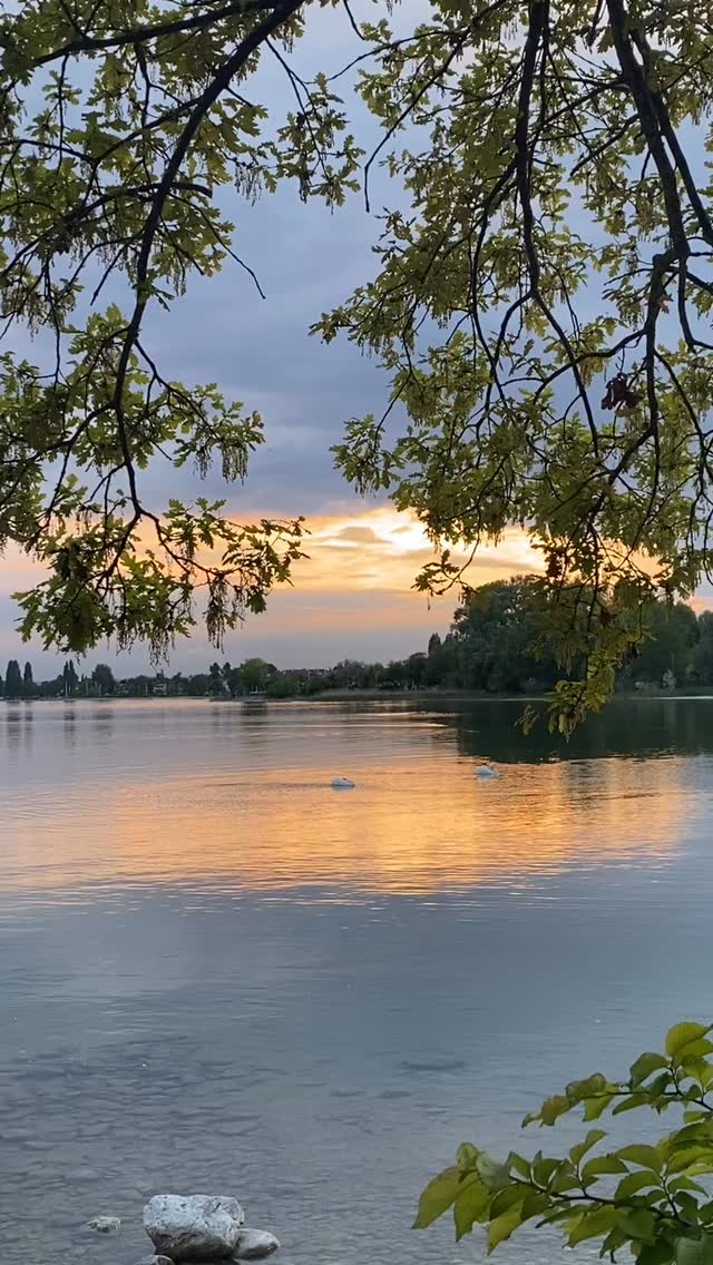 Mehr Licht, mehr Leichtigkeit zur Sonnenwende! ✨
Nutze diese kraftvolle Zeit, um dich zu stärken und Altes loszulassen. Meine liebsten Rituale:
1️⃣ Kerze anzünden – Ruhe und neue Kraft spüren
2️⃣ Räuchern mit Palo Santo & Co. – Raum für positive Energie schaffen
3️⃣ Blumen ins Haus holen – Sommerliche Frische genießen
4️⃣ Zeit in der Natur – Erdung und Inspiration tanken
5️⃣ Bunt & frisch essen – Dankbarkeit für die Natur spüren
6️⃣ Ausmisten & loslassen – Platz für Neues schaffen
7️⃣ Digital aufräumen – Klarheit für Kopf & Herz
Spüre die Magie der Sonnenwende und starte leicht und voller Energie in den Sommer!
#arnacandles #sommersonnenwende #rituale #lichtundleichtigkeit #selfcare #naturalliving #magischeslicht