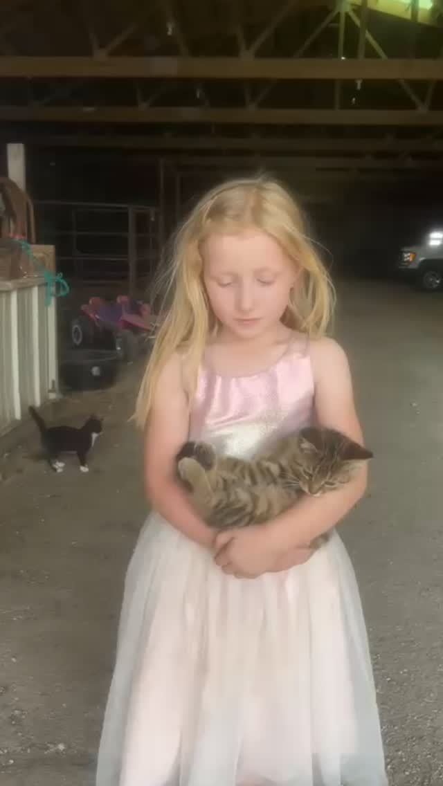 just putting the ‘cat’ in cattle farm! be sure to say hello to the kittens next time you visit 🐈🐈⬛💕 #cat #cats_of_instagram #barncatsofinstagram