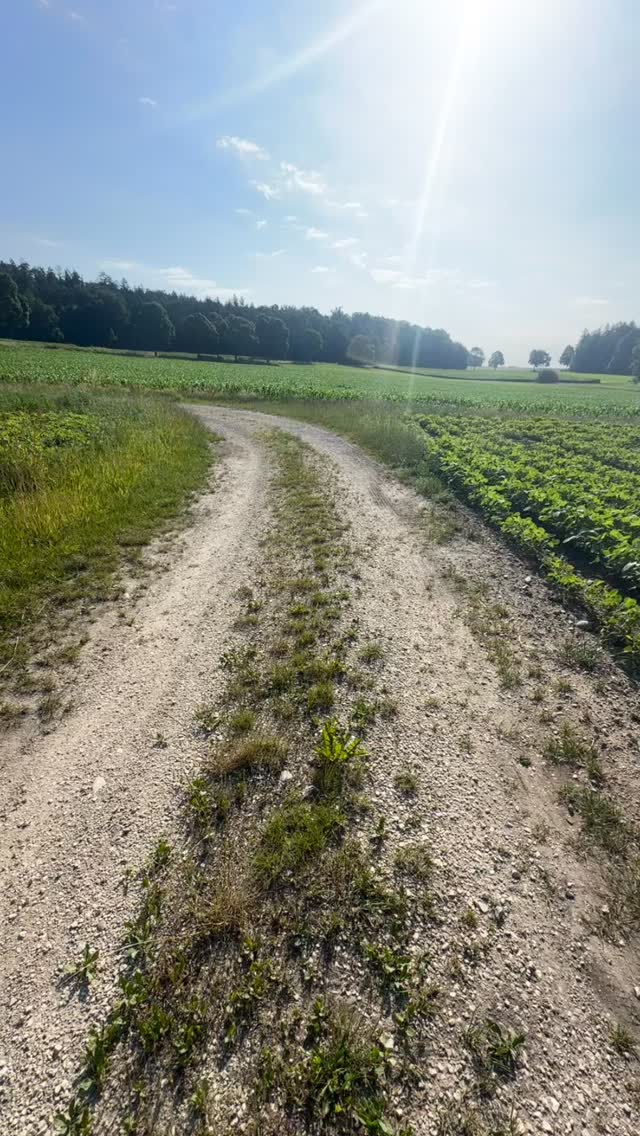 Good Morning… 🩷🩷🩷 #youngliving #wellness #purpleflow #running