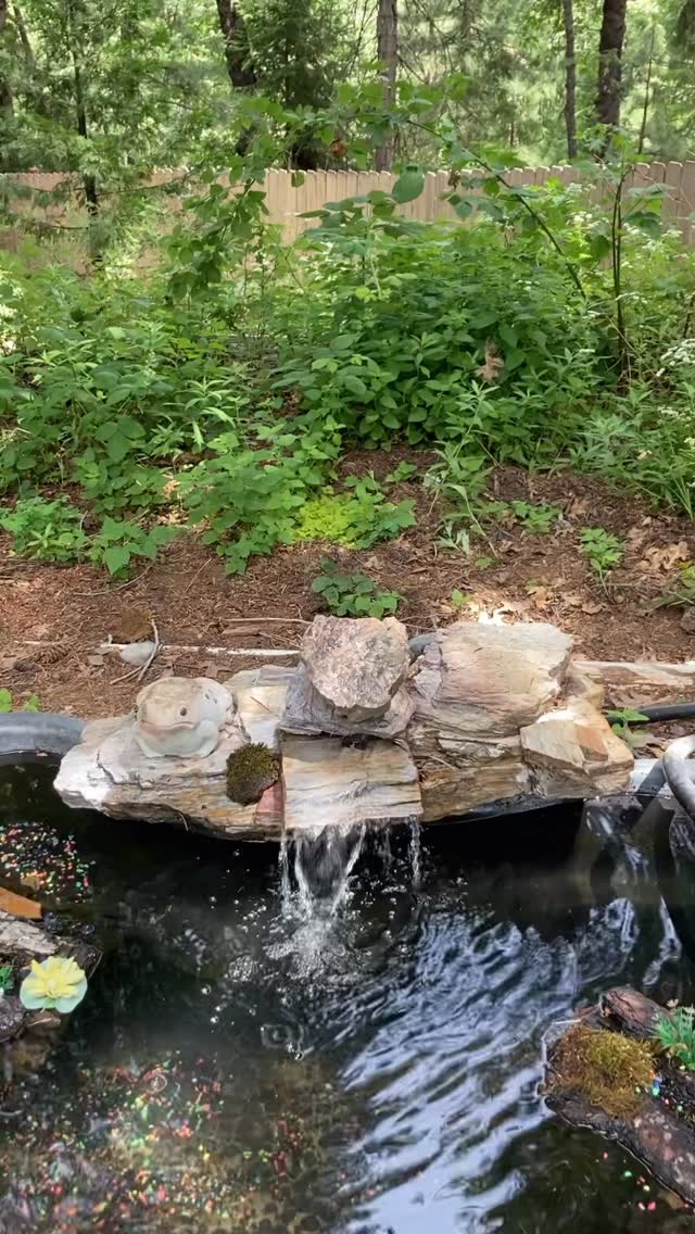 Welcome to a little piece of our garden where lavender, dianthus, daisies, snapdragons, periwinkle, alyssum, verbena, lobelia, lantana, geranium, Mexican heather, and so many more thrive. This is but a tiny bit of our garden. 🥰🌸💜😍💚🌼🩷😊