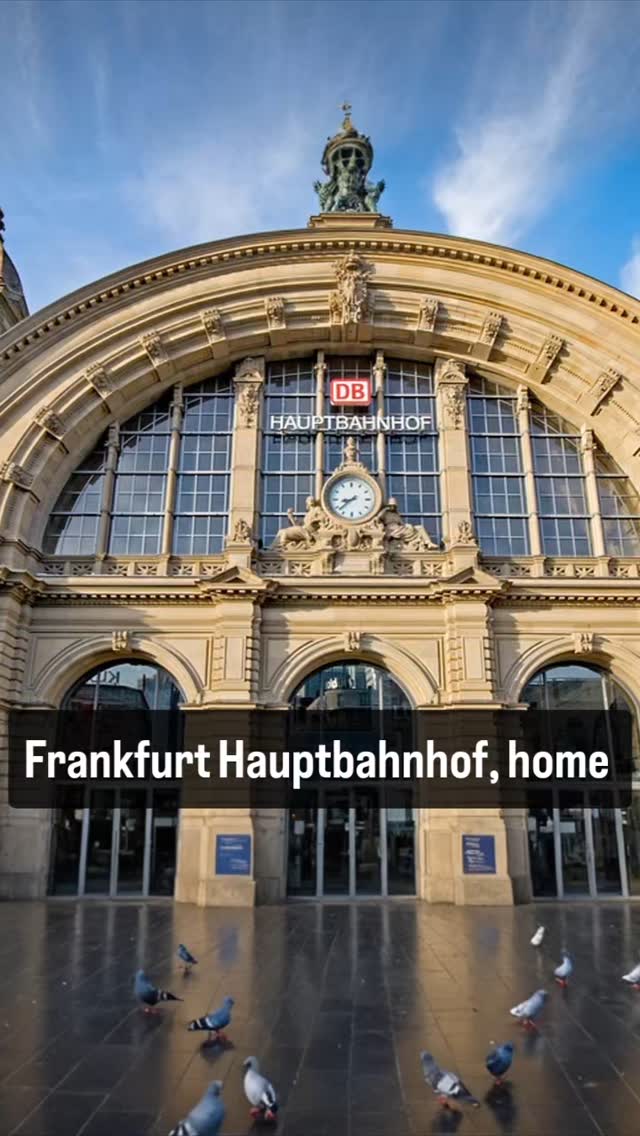 Pigeon Mafia - Frankfurt Main Train Station #frankfurt #atlas #train #krankfurt