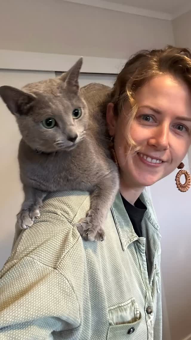 Oreos favourite perch is on his humans shoulders, on top of the world + endless cuddles = perfection 👌🏼
#catlover #bluecats #russianblue #russianbluecat #petsofinstagram #petsofnz #petsofig