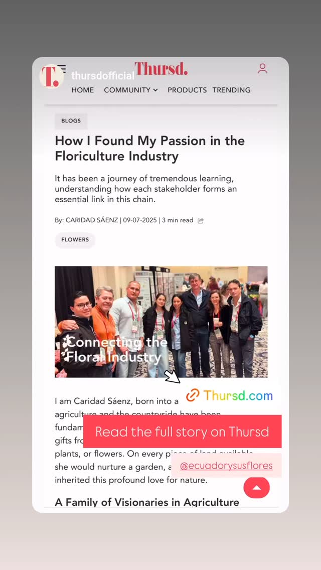 Visit our blog at thursd.com
Link in bio