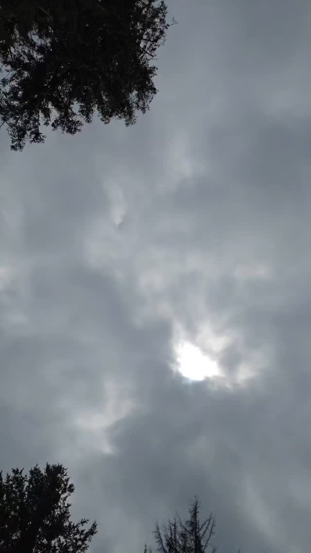 Yesterday felt like something they only talk about in the books of legends. Thank you everyone for your support yesterday. It was an amazing day as always.
#sistersoflilith #summersolstice #medusa #community