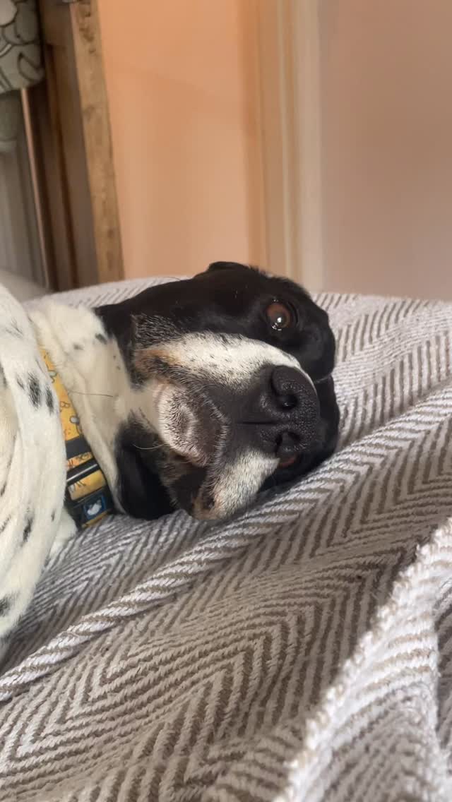 💁🏻♀️ It’s tough.