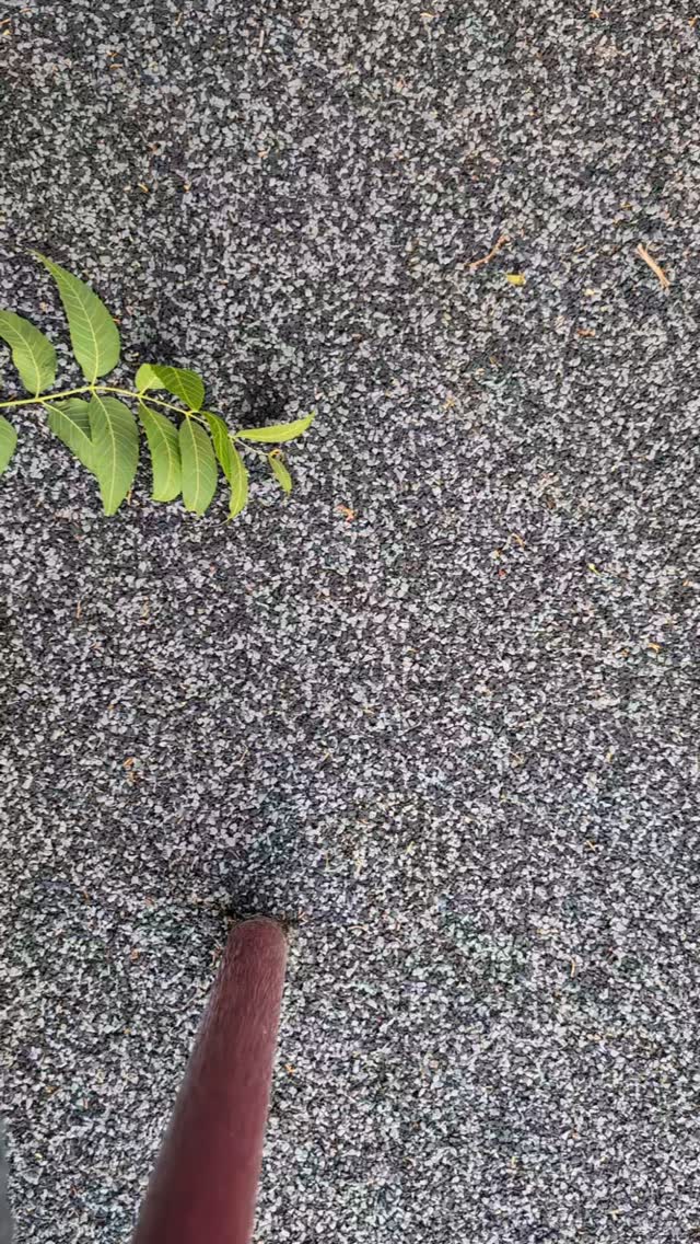 Can you guess where I was while stitching on Saturday? #imperfectlybeautifulstitches #myneedletoday #satinstitch #dropclothsamplers #stitchingwhenitsfun