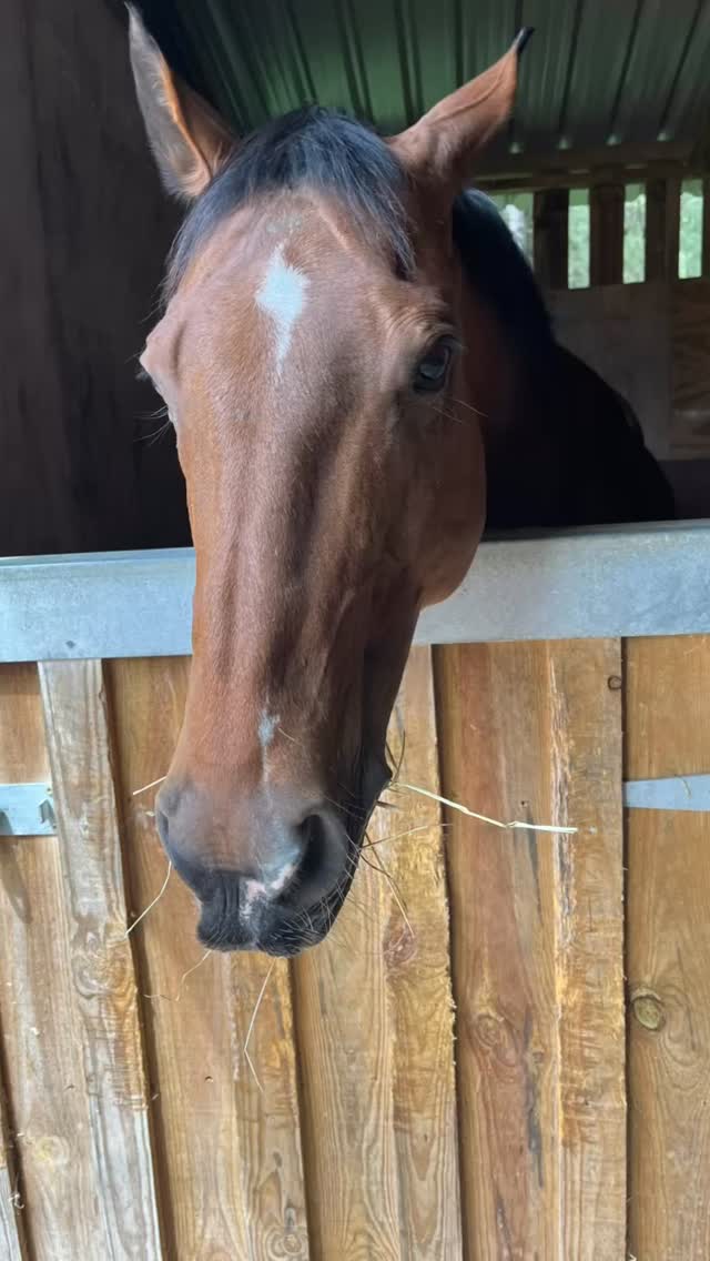 I have very few photos of yesterdays day @forestedgearena Due to being very busy & in the moment ✨ thanks to @freemandawn & @michaelajones from @adulttrainingcamp for the invite & support 🙏🏻💞💫