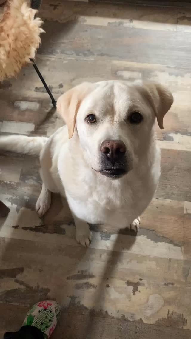Ich hab soooo tolle Kunden!!! 🥰❤️😍