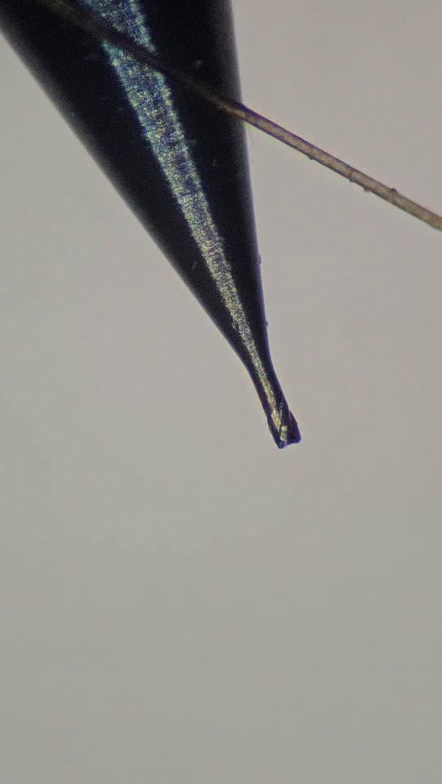 Can you believe that this tool cuts hardened steel?!
This @nstool_intl endmill spends hours cutting hardened tool steels for micromachined medical molds. We use these tools to create incredibly intricate, very finely detailed cavities that are used by medical device manufacturers to make smaller and smaller implantables!
This tool is 0.1mm in diameter, and has a defined corner radius of 20 microns. There are 4 flutes and a special geometry that enables high precision cutting of cavities with minimal chatter and maximum geometric accuracy. For a size reference, I placed one of my hairs next to the tool!